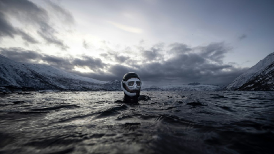 Dans les eaux glacées de Norvège, l'apnéiste Guérin-Boëri danse avec les orques