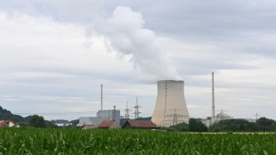 Bundesregierung betont sichere Energieversorgung nach Atomausstieg