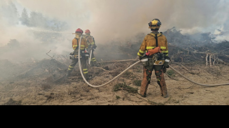 Foreign firefighters come to the rescue in Canada's wildfires