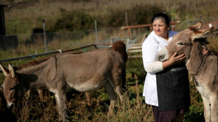 'Taste of love': Donkey milk cheese meets success in Albania