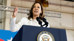 Harris doesn't back Israel arms embargo, aide says