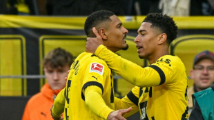 Allemagne: Sébastien Haller inscrit son premier but en Bundesliga avec Dortmund