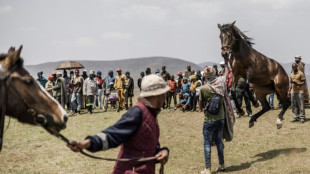 Au Lesotho, les folles courses à cheval dans les montagnes