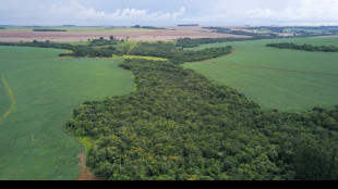 Brésil: au pays des "agrotoxiques", les biopesticides ouvrent une brèche