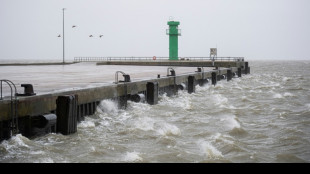 Deutsche Nordsee 2024 so warm wie noch nie - Ostsee erreicht zweithöchsten Wert