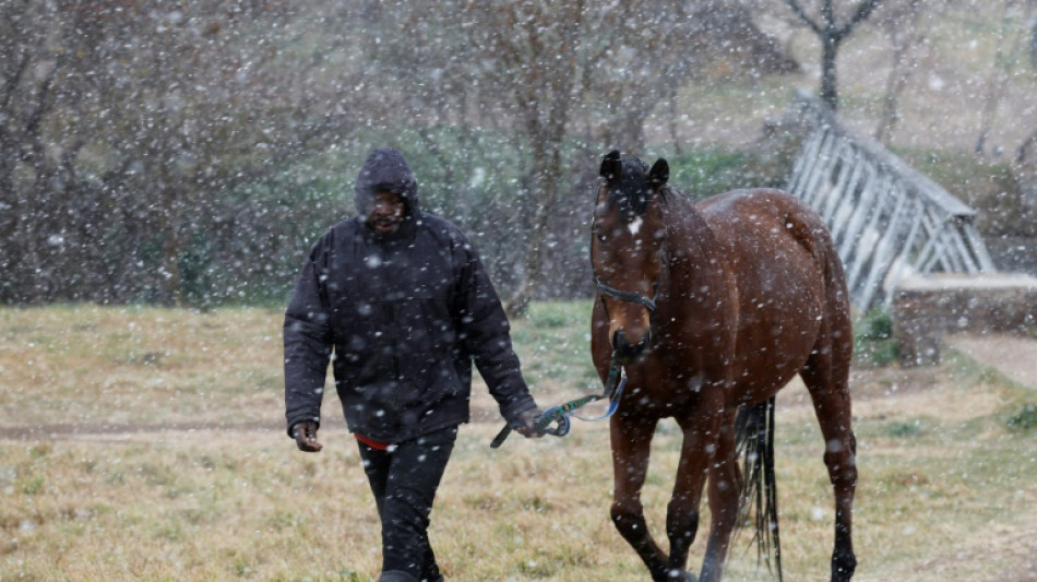 Rare snowfall dusts Johannesburg, parts of S.Africa 