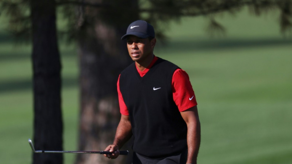 Tiger stirs Masters talk but several in hunt for green jacket