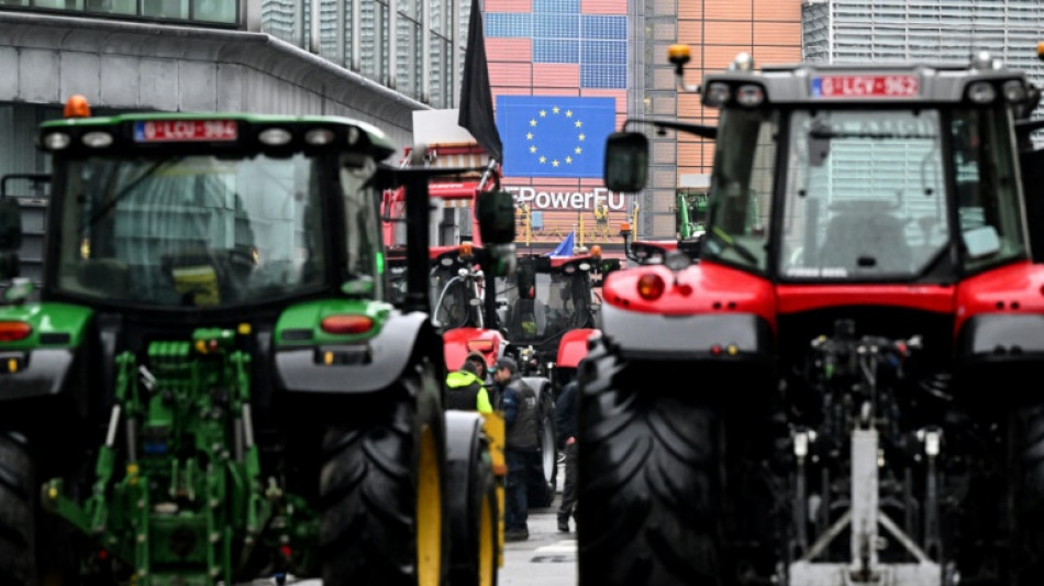 Colère agricole: les 27 examinent une révision de la PAC, tracteurs attendus à Bruxelles