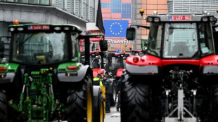 Colère agricole: les 27 examinent une révision de la PAC, tracteurs attendus à Bruxelles