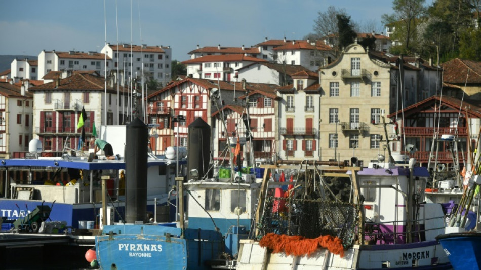 Golfe de Gascogne: les pêcheurs à l'arrêt forcé pour protéger les dauphins