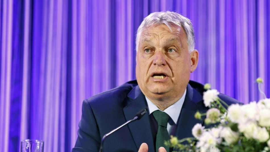"Patrioten für Europa": Orban und Kickl wollen neue Rechtsaußen-Fraktion gründen