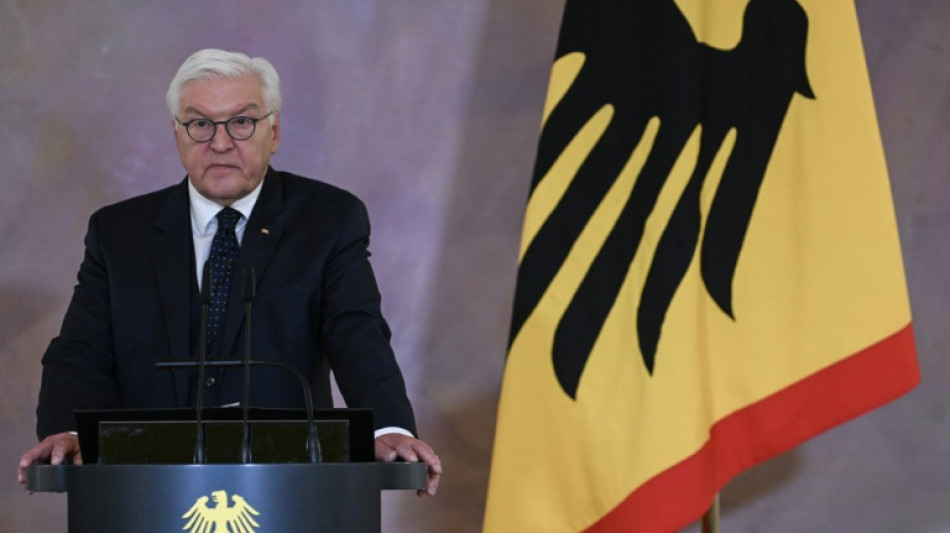 Steinmeier führt vertrauliche Gespräche mit Parteien über Neuwahlen