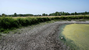 Sécheresse: risque d'incendie maximal, nombre "record" de départements en restrictions d'eau