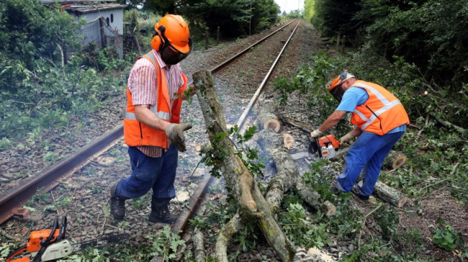 Tempête Ciaran: plusieurs dizaines d'incidents relevés par la SNCF sur le réseau ferroviaire