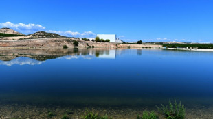 'Every drop counts': Spain's crops thrive on wastewater