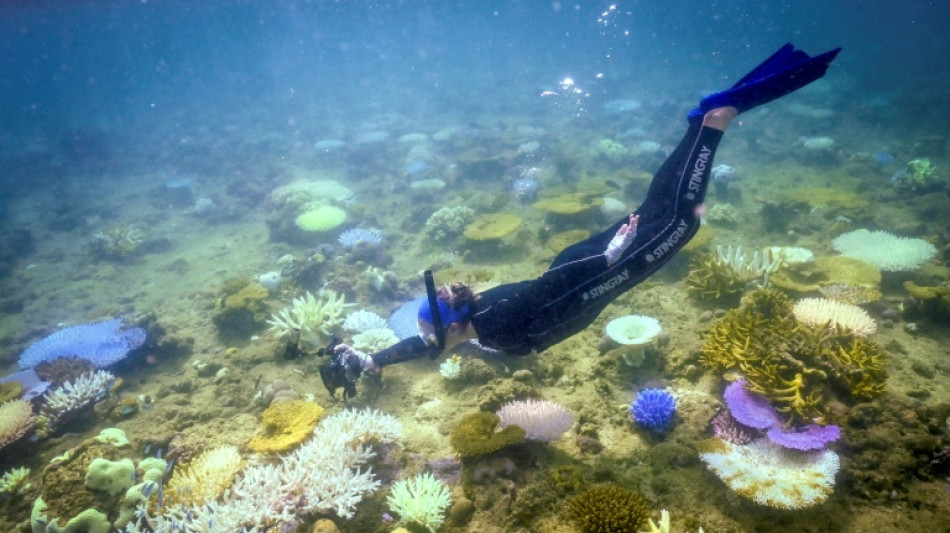 'Urgent' for Australia to protect Great Barrier Reef: UNESCO