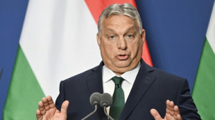 Sorge in der EU über Gerüchte über Moskau-Besuch Orbans am Freitag