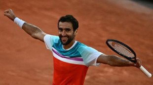 Roland-Garros: première demi-finale à Paris pour Cilic, à 33 ans