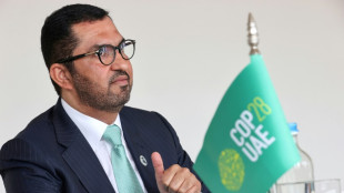 El gigante petrolero emiratí ADNOC anuncia un proyecto de captura de CO2 antes de la COP28