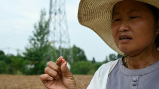 Central China farmers face crop failures in 'withering' drought