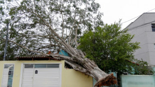 Nach Dürre: Acht Tote und Stromausfälle durch heftige Regenfälle in Brasilien