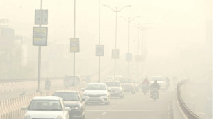 Inde: une étude attribue de nombreux décès à la pollution aérienne