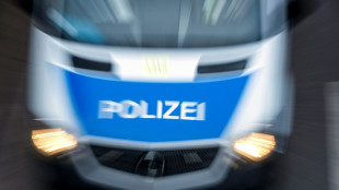 Polizei nimmt Mitglieder von mutmaßlicher Jugendbande in Berlin fest