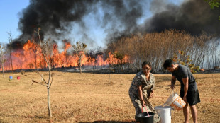 Jefe de policía en Brasil aboga por penas más duras contra autores de incendios