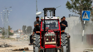 El sector agrícola de Gaza, arrasado por la guerra