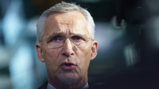 NATO can weather political storms in US, France: Stoltenberg