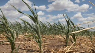 En 30 años, un "cinturón de calor extremo" cubrirá el centro de EEUU