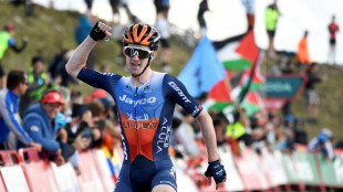 Tour d'Espagne: L'Irlandais Dunbar remporte l'étape reine au sommet du Picon Blanco