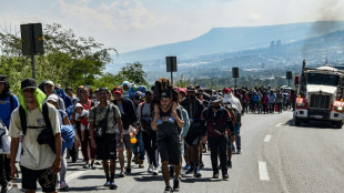 "Alerta máxima" en Canadá ante la llegada de migrantes desde EEUU tras el triunfo de Tump