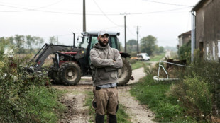 Journal d'un agriculteur: "quand tu te lances, tu investis autant que tu éternues"