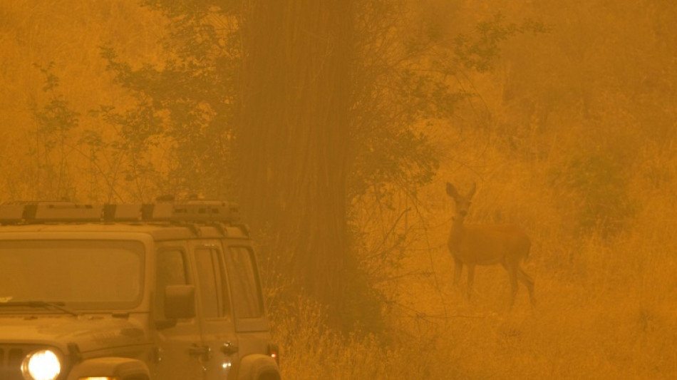 Bomberos luchan contra incendio forestal que amenaza ciudad en California
