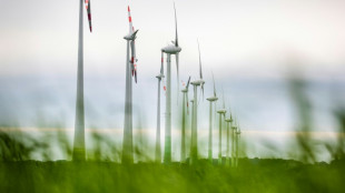 Verbände halten Ausbau der Windkraft an Land für unzureichend