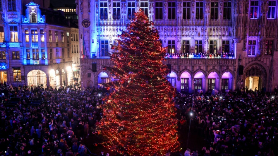 Don't eat your Christmas tree, warns Belgium food agency