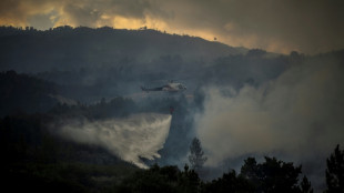 Portugal lucha para controlar gran incendio en un parque natural