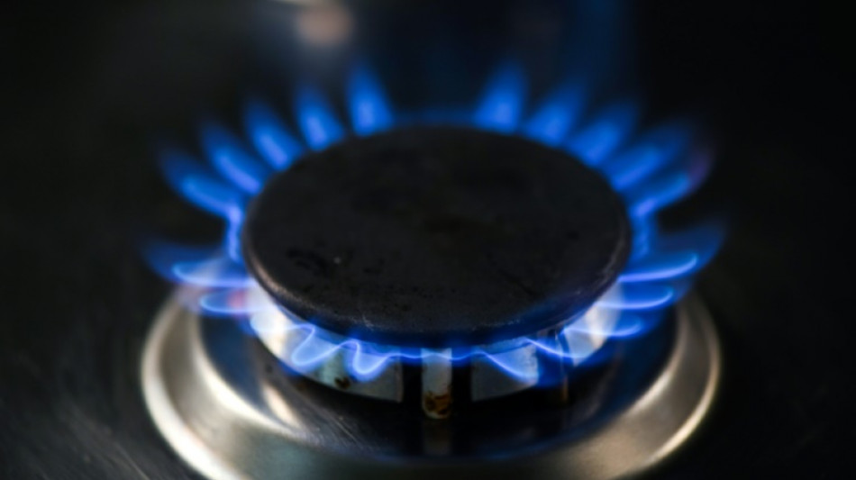 Berlin blasts 'political decision' in Gazprom's gas squeeze