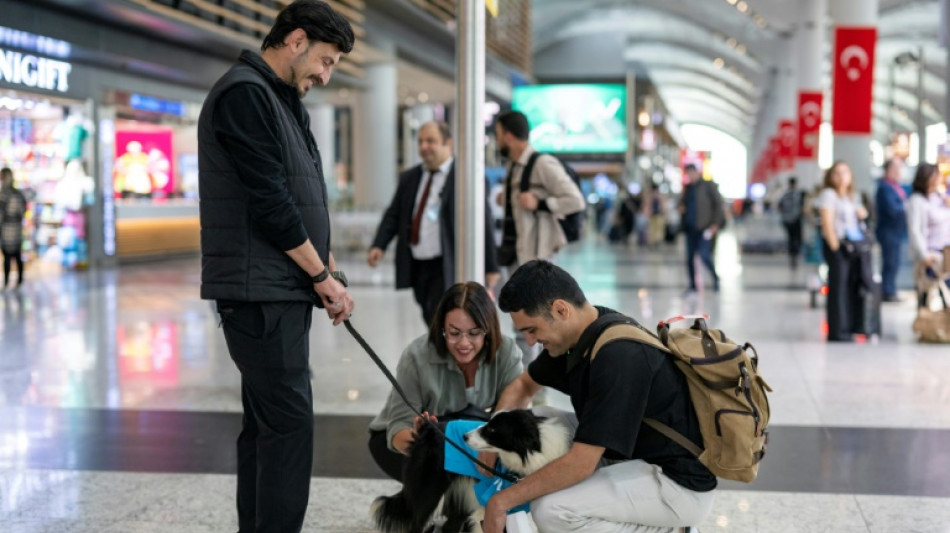 Perros adiestrados para desestresar a los pasajeros en el Aeropuerto de Estambul