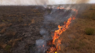 'Povo das Águas' se soma à luta contra o fogo que consome o Pantanal