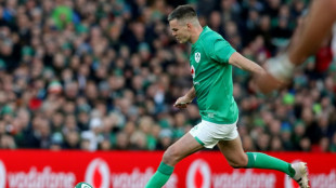 Six nations: comment l'Irlande est devenue une machine à gagner