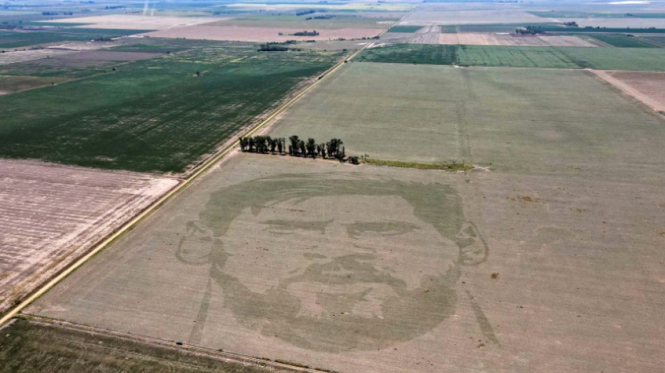 Argentine corn farm gets its own Messi 'tattoo'