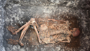 Horseback riding may have begun 5,000 years ago in Europe: study