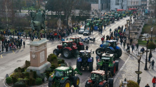 Espagne: des milliers d'agriculteurs manifestent en tracteur