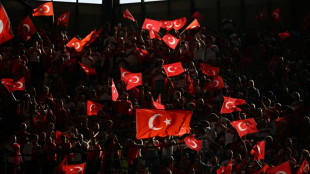 EM-Viertelfinale: Türkische Ultras rufen zu Wolfsgruß auf