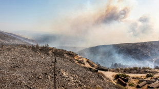 La contaminación por incendios forestales afecta ante todo a los más pobres