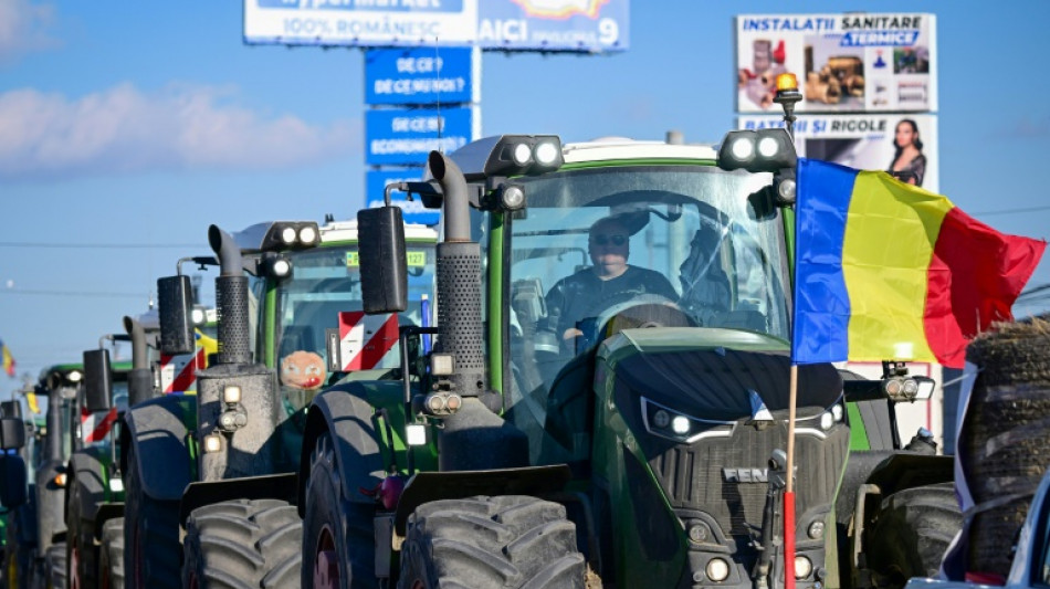 En Roumanie, le désarroi d'agriculteurs "au bout du rouleau"