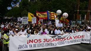 El Tribunal Constitucional español rechaza el recurso de la derecha contra el aborto