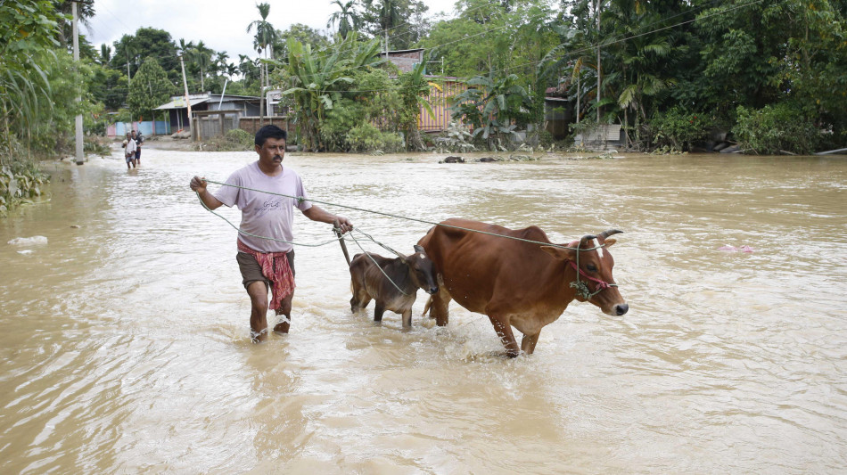 Almeno 29 morti per le inondazioni nel nord dell'India